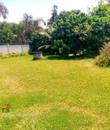 Miniature 5