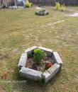 Miniature 5
