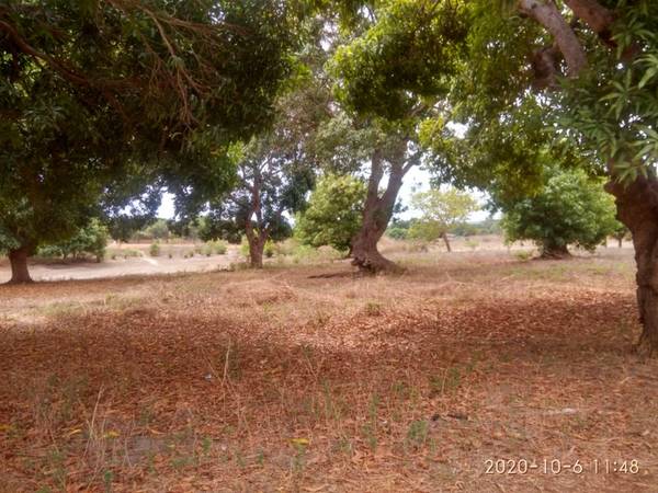 Immobilier Mada