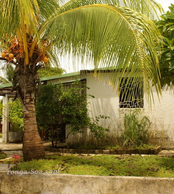 Immobilier Mada