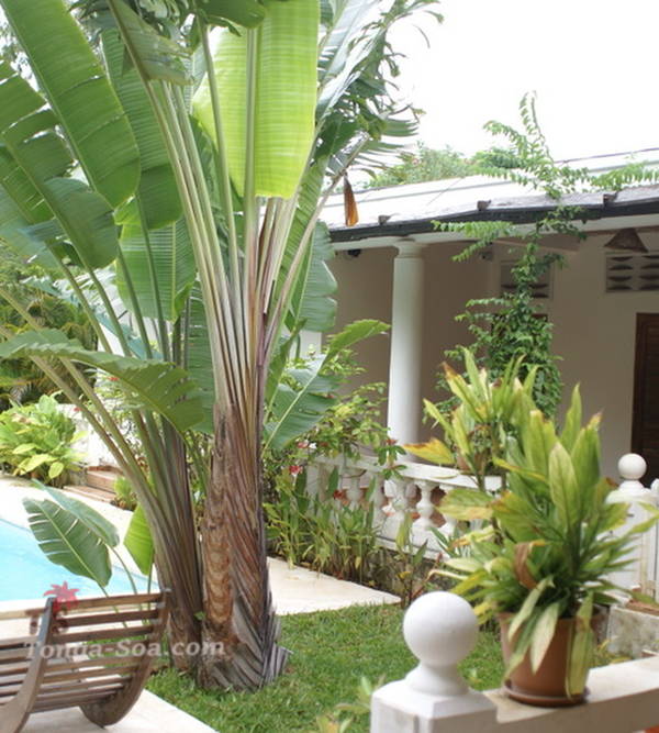 Immobilier Mada