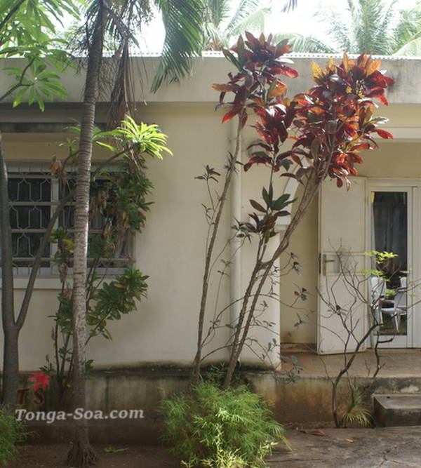 Immobilier Mada