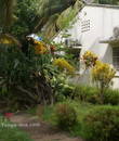 Miniature 5