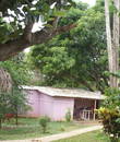 Miniature 5