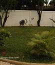 Miniature 5