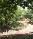 Miniature 4