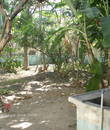 Miniature 5