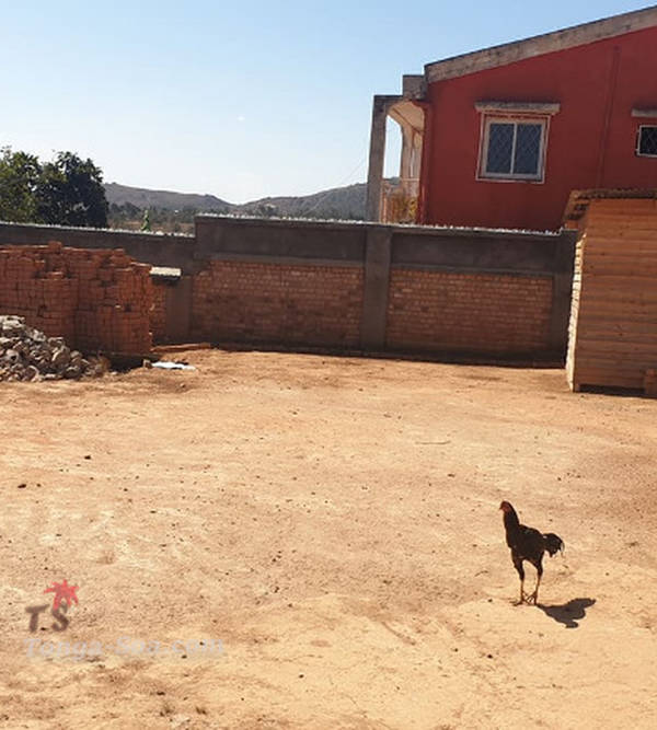 Immobilier Mada
