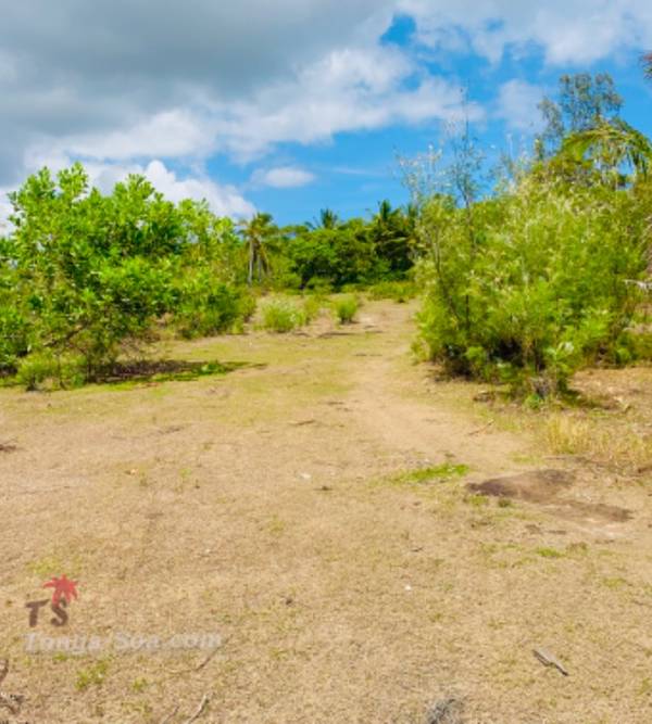 Immobilier Mada