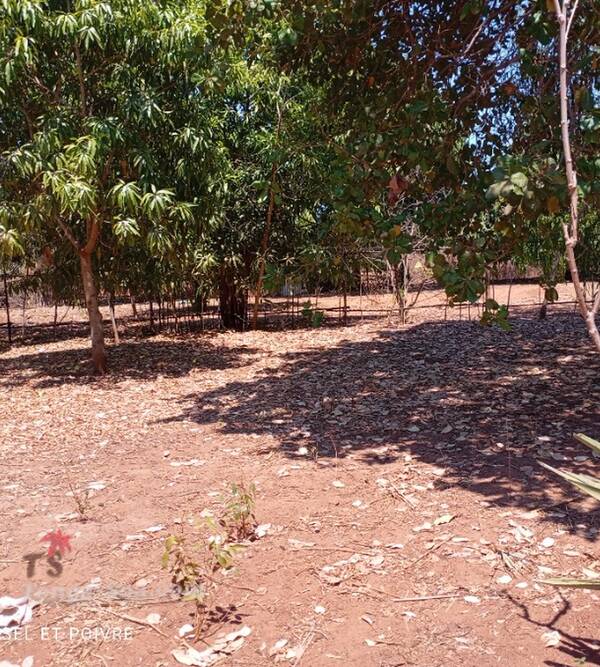 Immobilier Mada