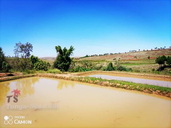 Immobilier Mada