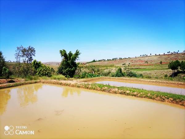 Immobilier Mada