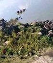 Miniature 3
