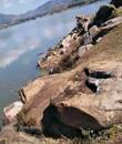 Miniature 4