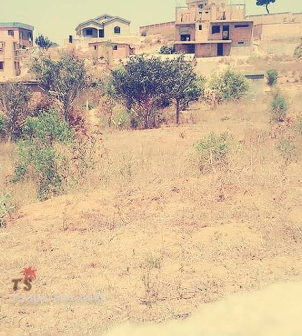 Immobilier Mada