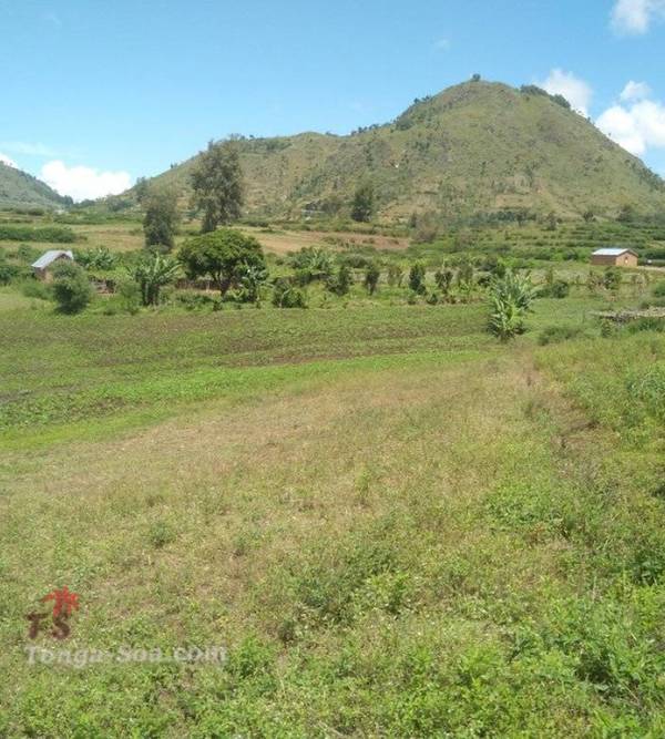 Immobilier Mada