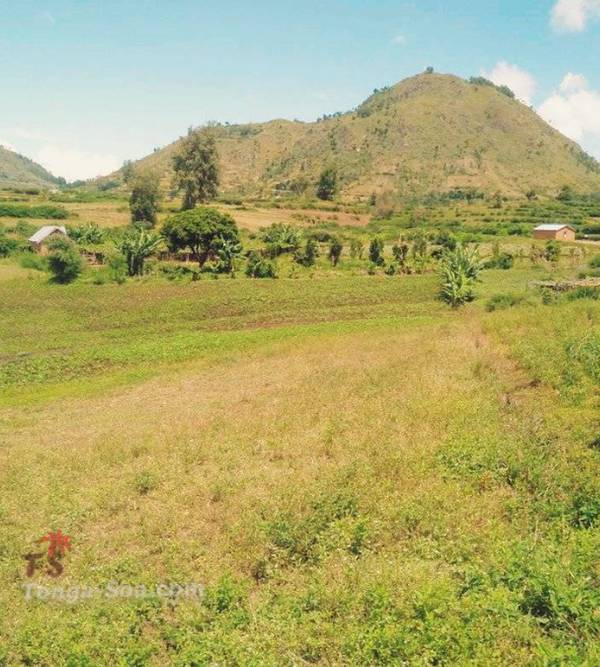 Immobilier Mada