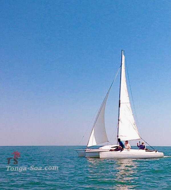 Auto / Moto / Bateau