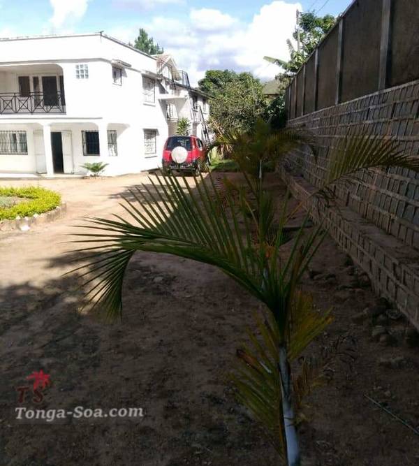 Immobilier Mada