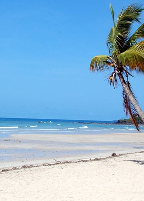 Tourisme Local