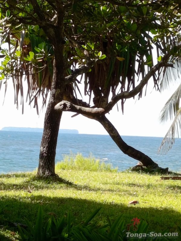 Immobilier Mada