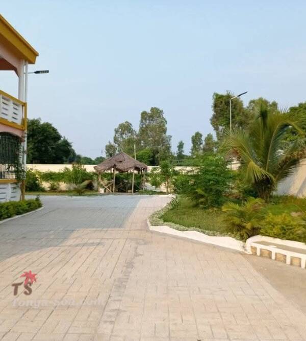 Photo 3
