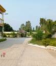 Miniature 3