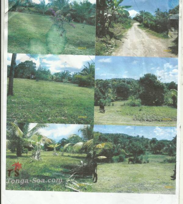 Immobilier Mada