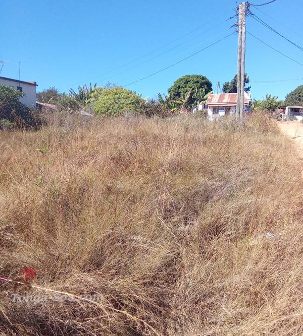 Immobilier Mada