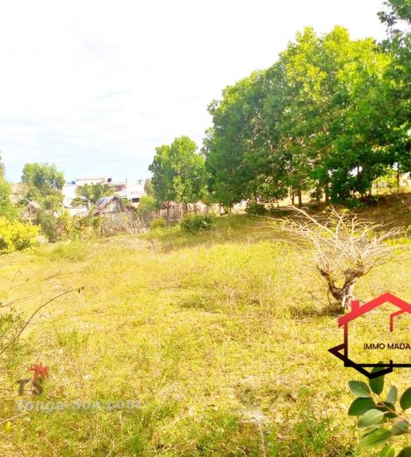 Immobilier Mada