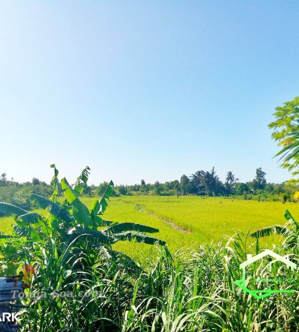 Immobilier Mada