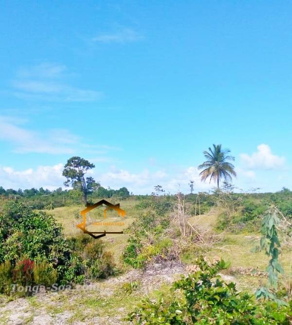 Immobilier Mada