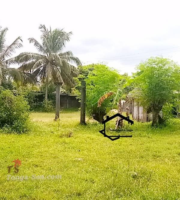 Immobilier Mada