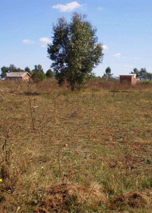 Immobilier Mada