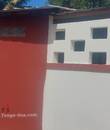 Miniature 4