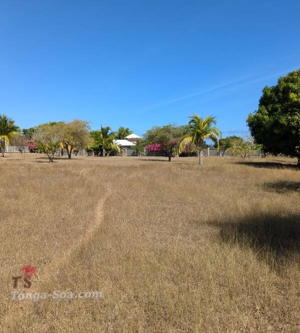 Immobilier Mada
