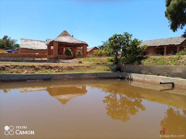 Immobilier Mada