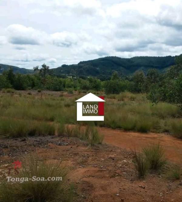 Immobilier Mada