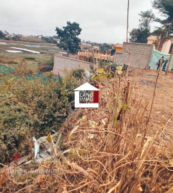 Immobilier Mada