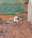 Miniature 5