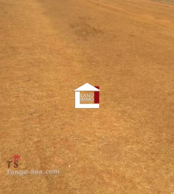 Immobilier Mada