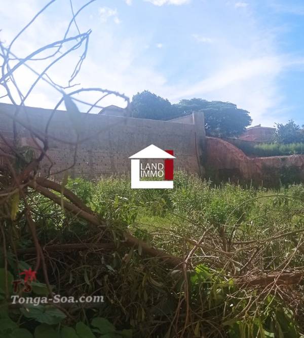 Immobilier Mada