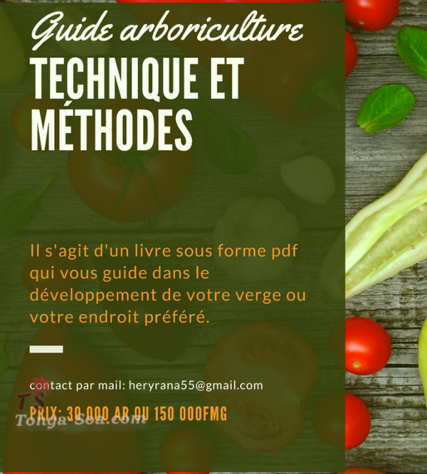 Achat  - Vente