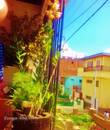 Miniature 4