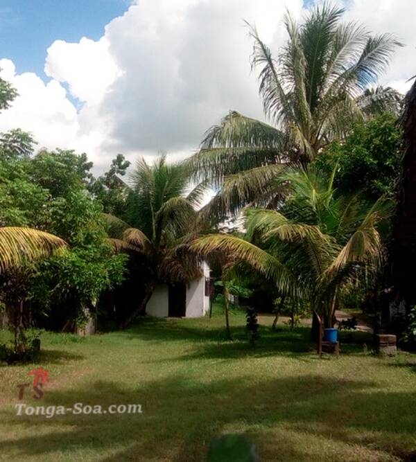 Immobilier Mada