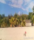 Miniature 5