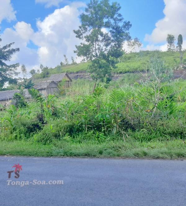 Immobilier Mada