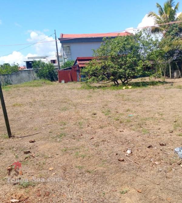Immobilier Mada