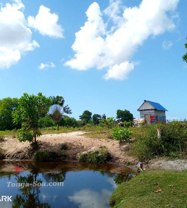 Immobilier Mada
