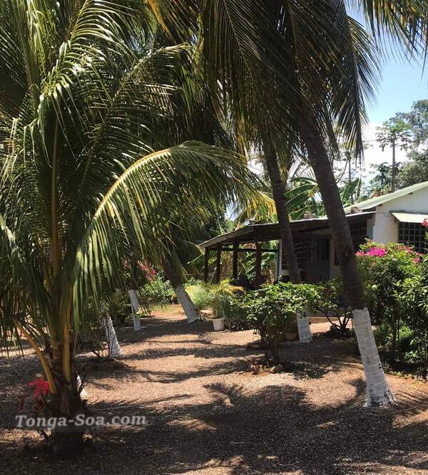 Immobilier Mada